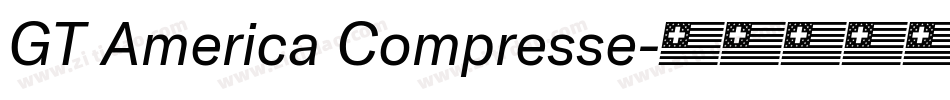 GT America Compresse字体转换
